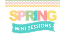 springminiheader