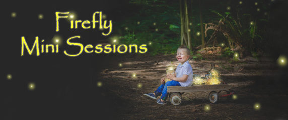 firefly header